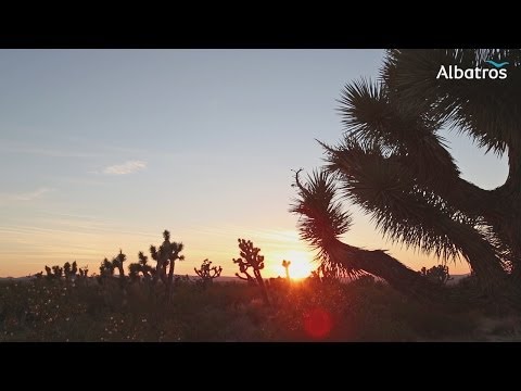 Video: De bedste amerikanske nationalparker til efterårsløv