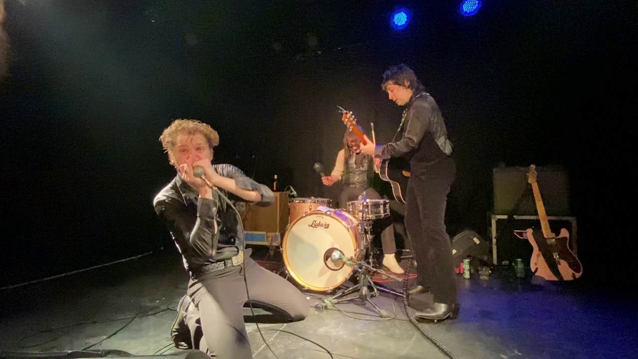 daddy long legs motorcycle seat