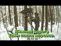 Нижняя дорога Едем после морозов 25 11 21