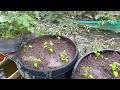 Middle of video