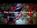 The Symbolic Meaning of Life