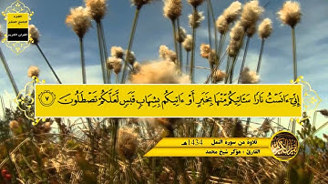 هؤكرشيخ محمد تلاوة من سورة النمل * جامع الكبير جوارقورنة * ليلة القدر *رمضان 1434*