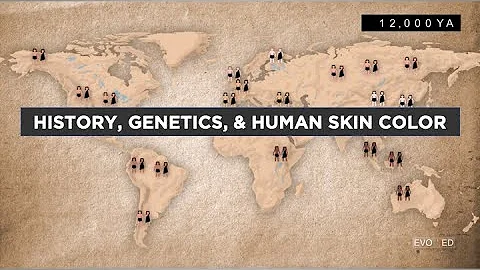 Evo-Ed: History, Genetics, and Human Skin Color
