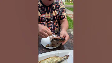 ВОЗДУШНАЯ РЯПУШКА #рыба #рыбец64 #ряпушка