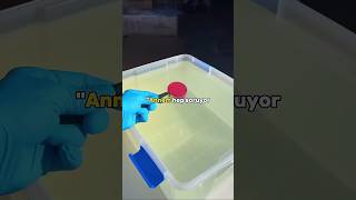 Annem Hem Niye Soruyor