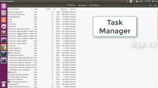 How to open Task Manager On Ubuntu & End The Process