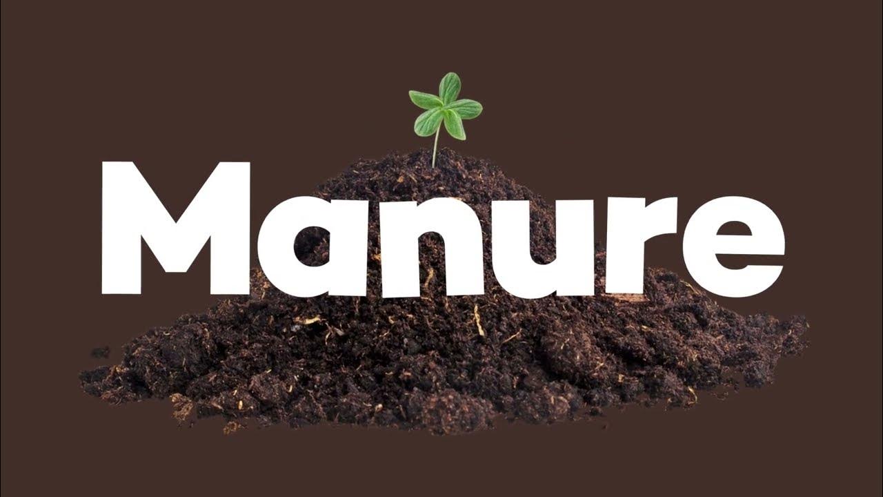 WHAT IS MANURE Episodes For Kids Lingokids YouTube what-is-manure-episodes-for-kids-lingokids-youtube