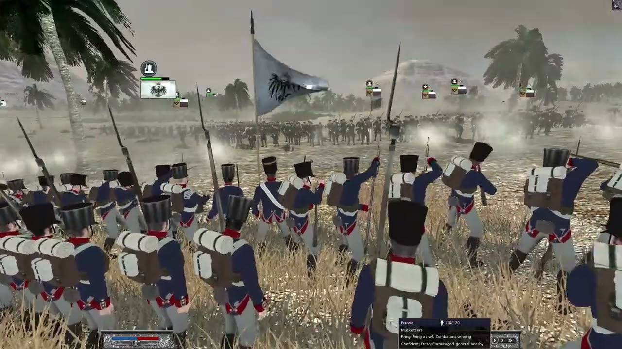 Battle Of Syrian Ridge. #totalwar #totalwarnapoleon #gameplay #entertainment