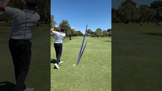 Famous What If You Could Master Par 4 in Just One Shot? Profile