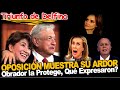 Reacción de dolor de oposición ante triunfo de Delfina, &quot;Ingue a su M&quot; Renuncia Alito! Fraude electo