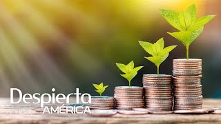 En Busca De La Abundancia Económica? Aplica La Regla De Los 4 Intentos
