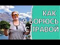 Жизнь в Краснодарском крае/Купили дом на юге/Наводим порядок после зимы