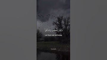 " ربما يود الَّذين كفروا لو كانوا مسلمين " القارئ محمد صديق المنشاوي #قرآن #قران_كريم #المنشاوي