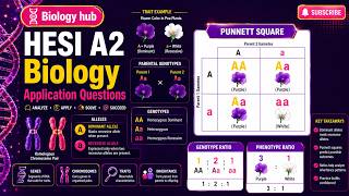 HESI A2 Biology Application Questions
