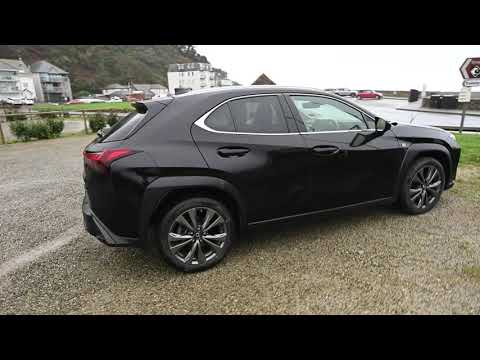 Lexus UX 250 H Walkaround at Seaton.