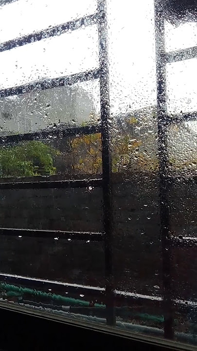 rain lover.🌧️☔ #rain youtushort