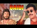          qaidi     