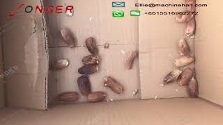 Automatic Date Pitting Machine|Dates Seed Removing Machine
