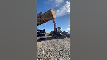 Unloading so big logs with the excavator. #logging #excavator #trucking #peterbilt