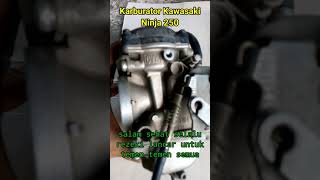 Kawasaki Ninja 250 Carburetor