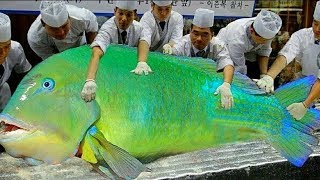 Японская Уличная Еда - Гигантская Рыба (Попугай) Сашими...