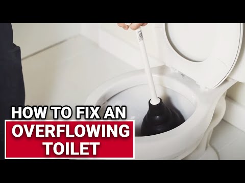 How To Fix An Overflowing Toilet - Ace Hardware