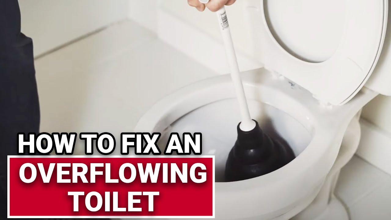 How To Fix An Overflowing Toilet - Ace Hardware