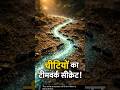 दुनिया का सबसे पावरफुल टीमवर्क — चींटियों से सीखे  #shorts#facts  #viralshorts#science #viralvideo