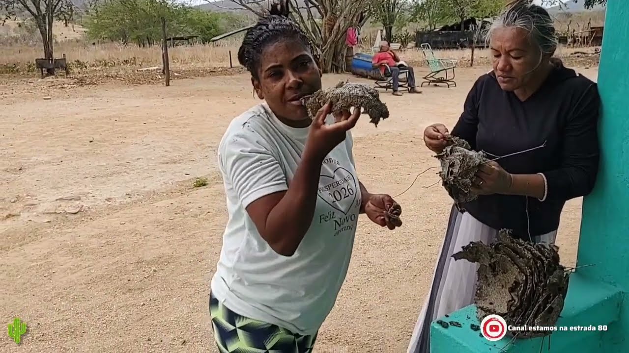 Sítio logrador canapi AL vamos conhecer um pouco 