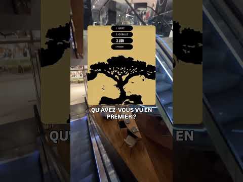 Dites Nous Ce Que Vous Avez Vu En Premier Réponse Explore Trendingreel Viralreels Viralvideo Viral 