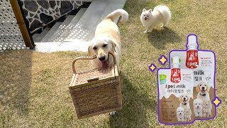 ENG SUB _ It's Spring, Let's Get Out! The Drinkable Snack, I Pet Milk