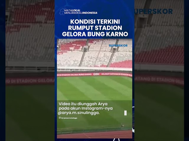 Kondisi Terkini Rumput Stadion Utama Gelora Bung Karno Jelang H-3 Laga Timnas Indonesia vs Irak class=