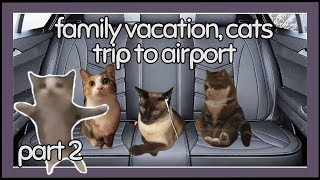 PART 2 !Cat family road trip to airport! -silly cat stories- PART 2