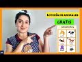 Lotería de Animales en Inglés🐢 ⚠️Descárgala Gratis⚠️ Juego ...