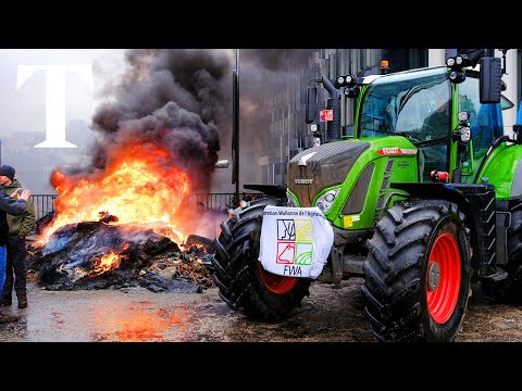 LIVE: Farmers clash with police at major protest in Brussels
