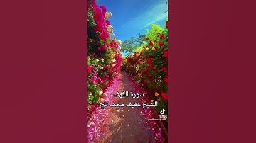 القران الكريم سورة الكهف الشيخ عفيف محمد تاج