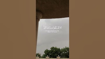 | سورة الزمر - القارئ حمزة بوديب