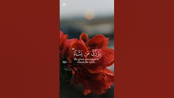 #قرآن #تلاوة_خاشعة #راحة_نفسية #المنشاوي #