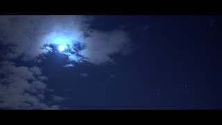 #langit #malam #bulan #bintang Momen hari | 17 April 2024 - Pemandangan Langit Prancis: Malam, Siang, Awan \u0026 Burung