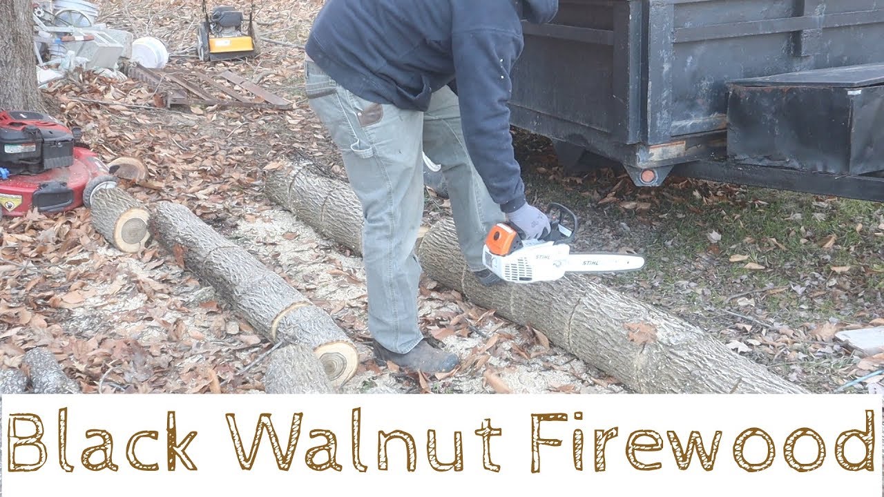 Black Walnut Firewood and Building Posts for Workbench YouTube