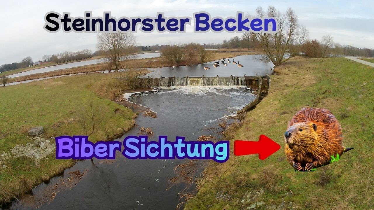 Naturschutzgebiet Steinhorster Becken