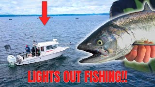 Catching One Of The TASTIEST SALMON In The PNW! (Blackmouth Catch & Cook) by Addicted Fishing 23,002 views 13 days ago 29 minutes