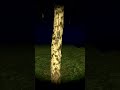 ПЛАНЫ НА ВАЙП! #stalcraftx #unturned #unturnedrp #stalker