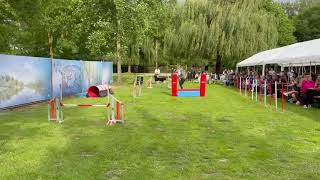 Turnier Riedstadt 12  bis 14 06 26, Vorführung im Freibad Goddelau