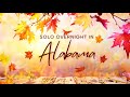 Solo Overnight: Cheaha Wilderness Area - Talladega National Forest