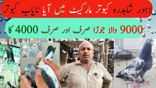 شاہدرہ کبوتر مارکیٹ میں آج سب سے سستی سیل لگائی||paksitan lahore pigeon Marlet||urdu+Hindi+HD@lahore