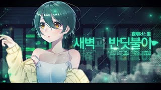 【강지】 ✿새벽과 반딧불이! (夜明けと蛍)✿ 「Korean Cover」