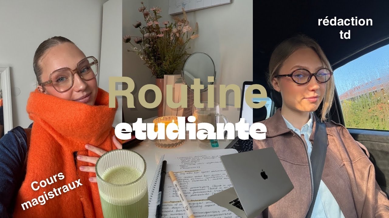 Comment j'étudie à la fac, mon organisation, mes conseils ( préparation TD )