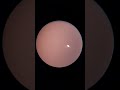 la luna y Venus con mi telescopio #moon #astrophotography #luna #astronomyequipment#astronomy