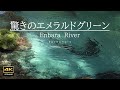 4K映像 + 自然の音 /　湧水(伏流水)の流れる円原川の美しい自然　驚きのエメラルドグリーン